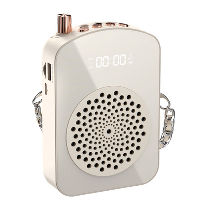 Portable Bluetooth lapel microphone with C-type connector