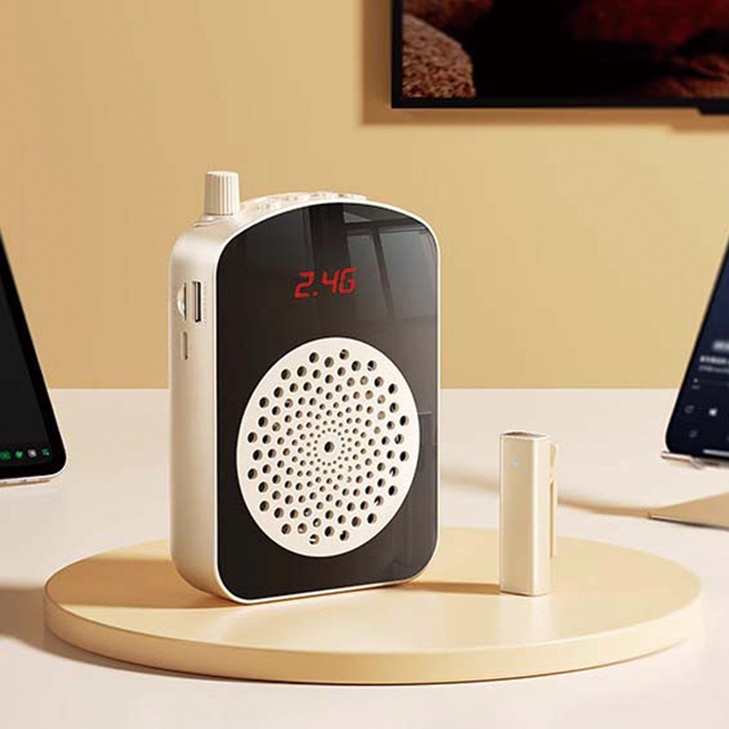 Portable Bluetooth lapel microphone with C-type connector