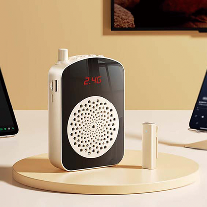 Portable Bluetooth lapel microphone with C-type connector